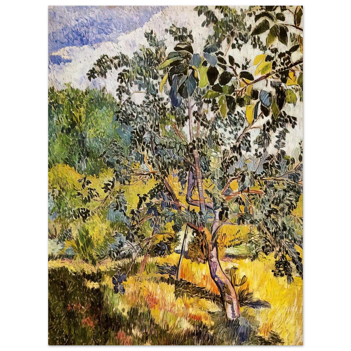 Natalia Goncharova - Corner of a garden Sun - Post-Impressionism 75x100 cm / 30x40inches Fine Art Poster