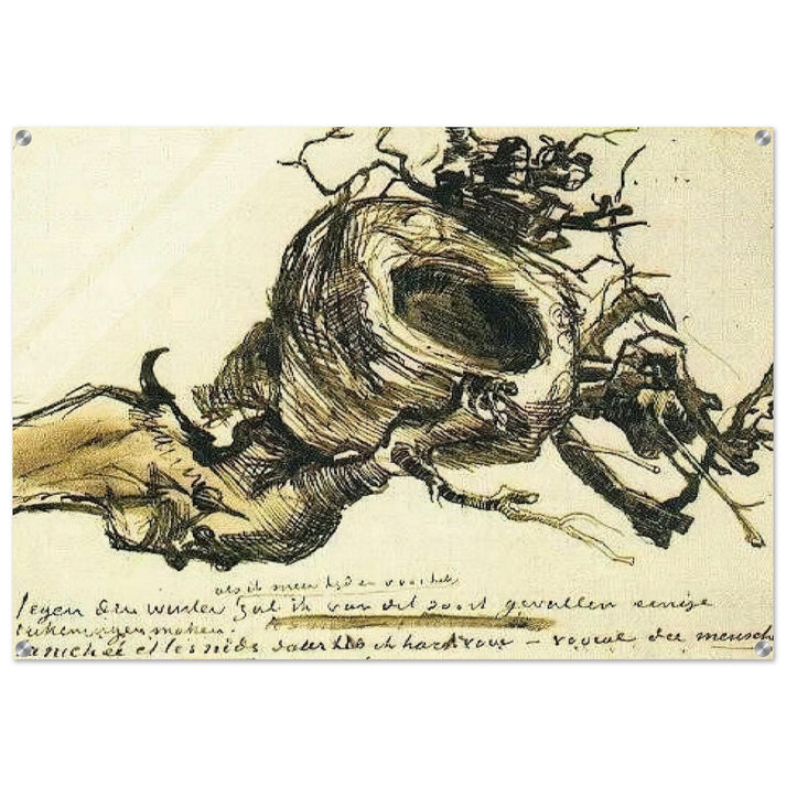 Bird's Nest - Vincent van Gogh Acrylic Print - 70x100 cm / 28x40″ inches