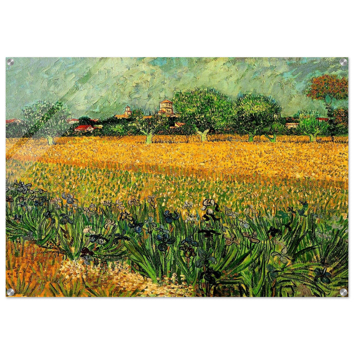 View of Arles with Irises in the Foreground - Vincent van Gogh Acrylic Print - 70x100 cm / 28x40″ inches