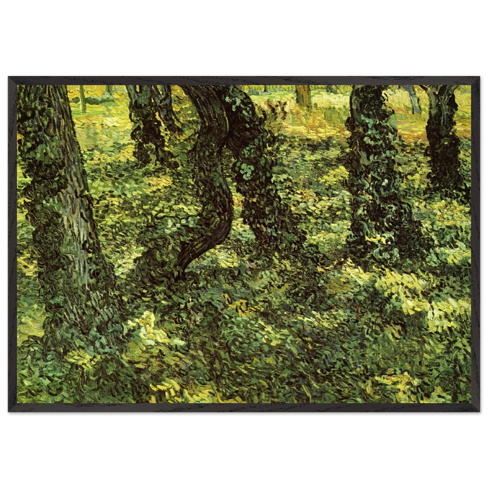 Trunks of Trees with Ivy - Vincent van Gogh 70x100 cm / 28x40 inches Framed Art Print – Black Wooden Frame
