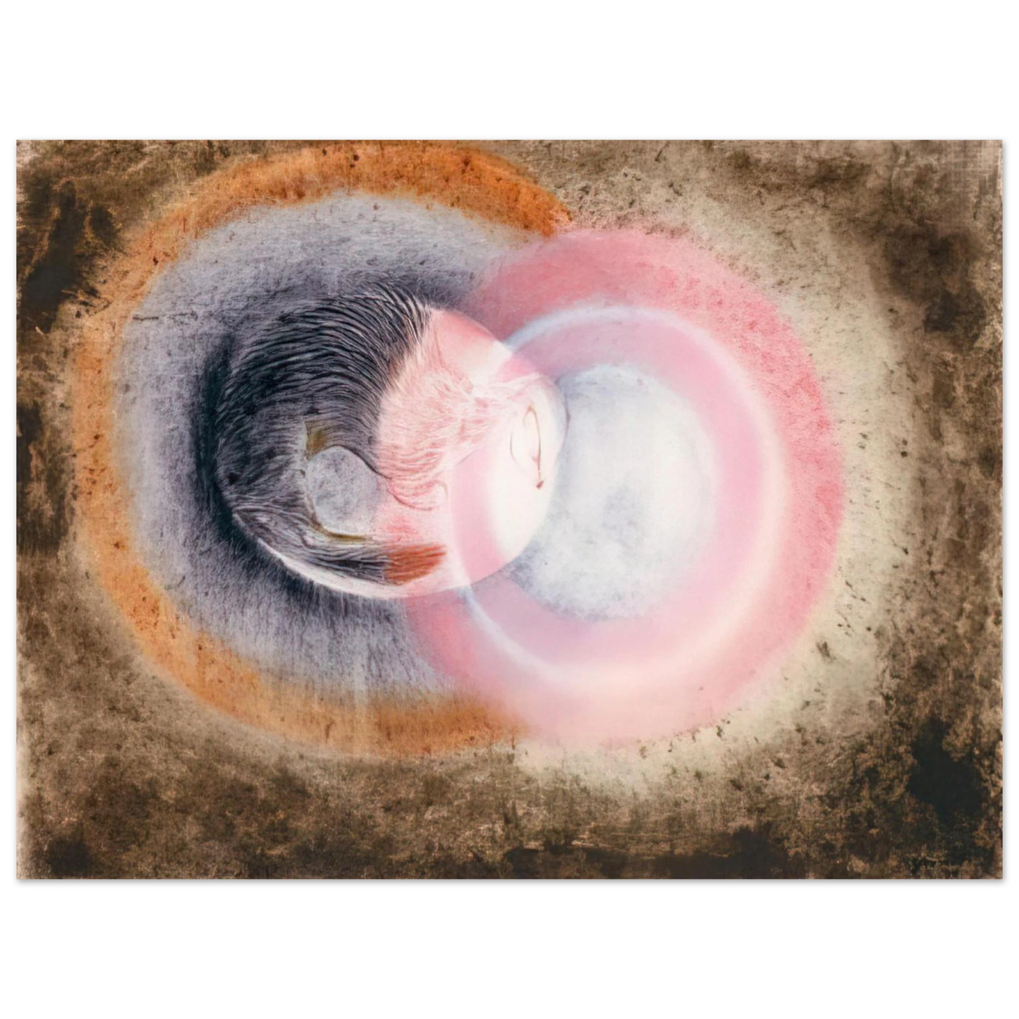 Morris Graves - Hibernation - 1954 Fine Art Poster - Default Title