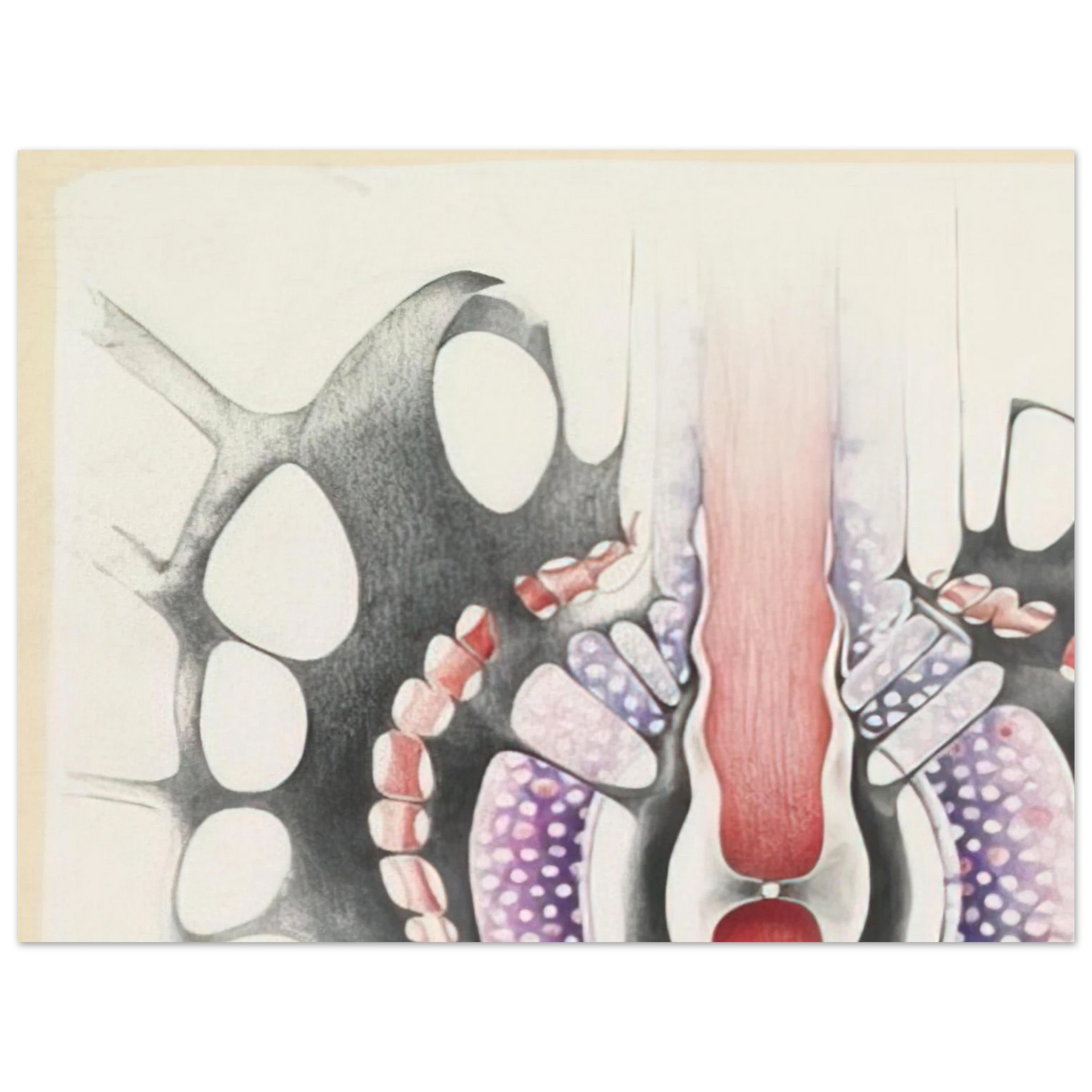 Lee Bontecou - UNTITLED 1967 1 Fine Art Poster - Default Title