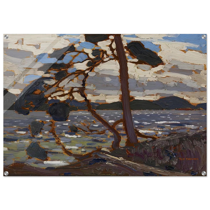 SKETCH FOR THE WEST WIND 1916 - Tom Thomson Acrylic Print - 70x100 cm / 28x40″ inches