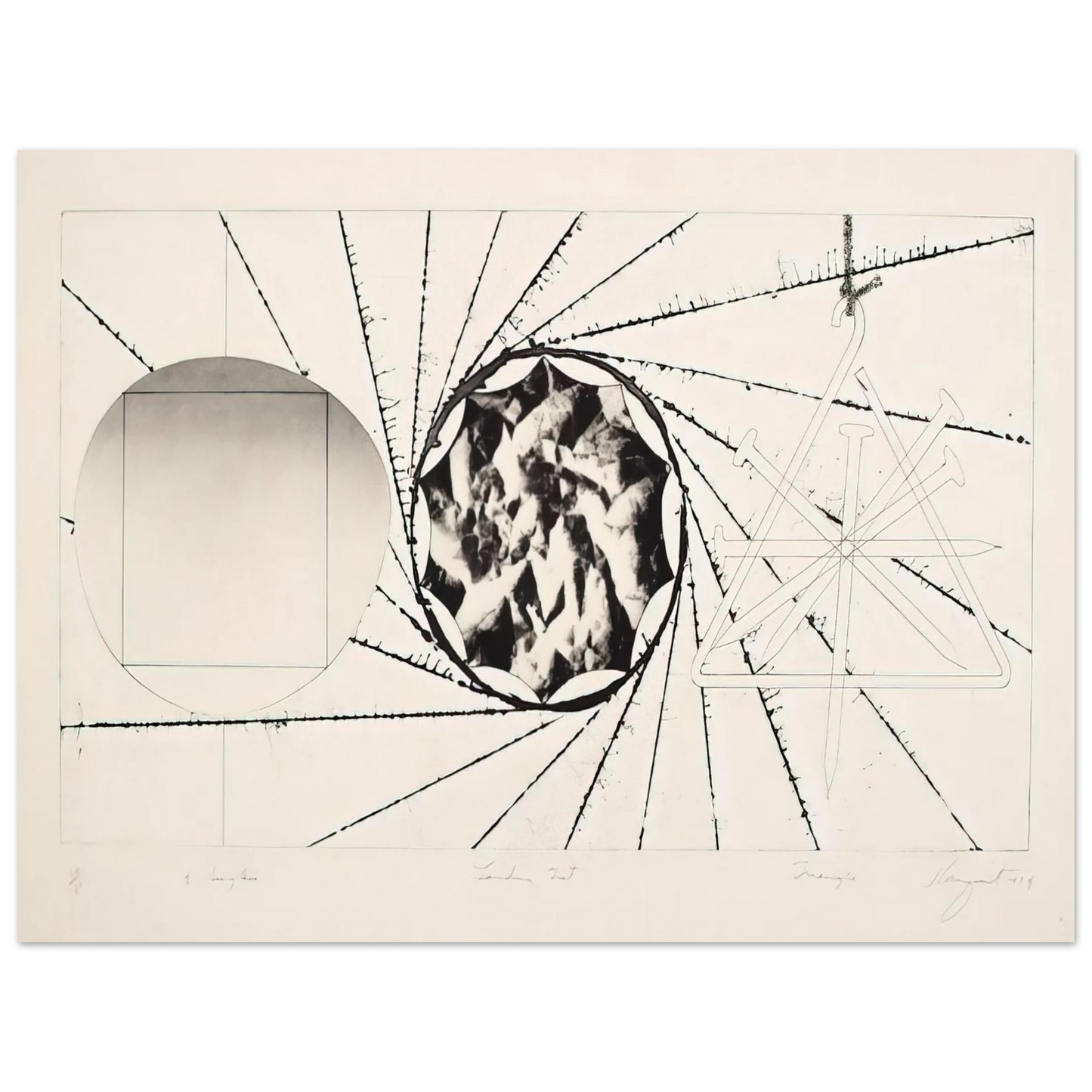 James Rosenquist - Sunglasses - Landing Net - Triangle Fine Art Poster - Default Title