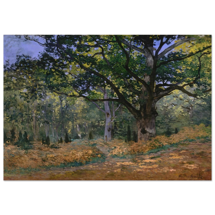 The Bodmer Oak, Fontainebleau - claude monet Brushed Aluminum Print - 70x100 cm / 28x40 inches | claude monet Aluminum Print | claude monet Prints