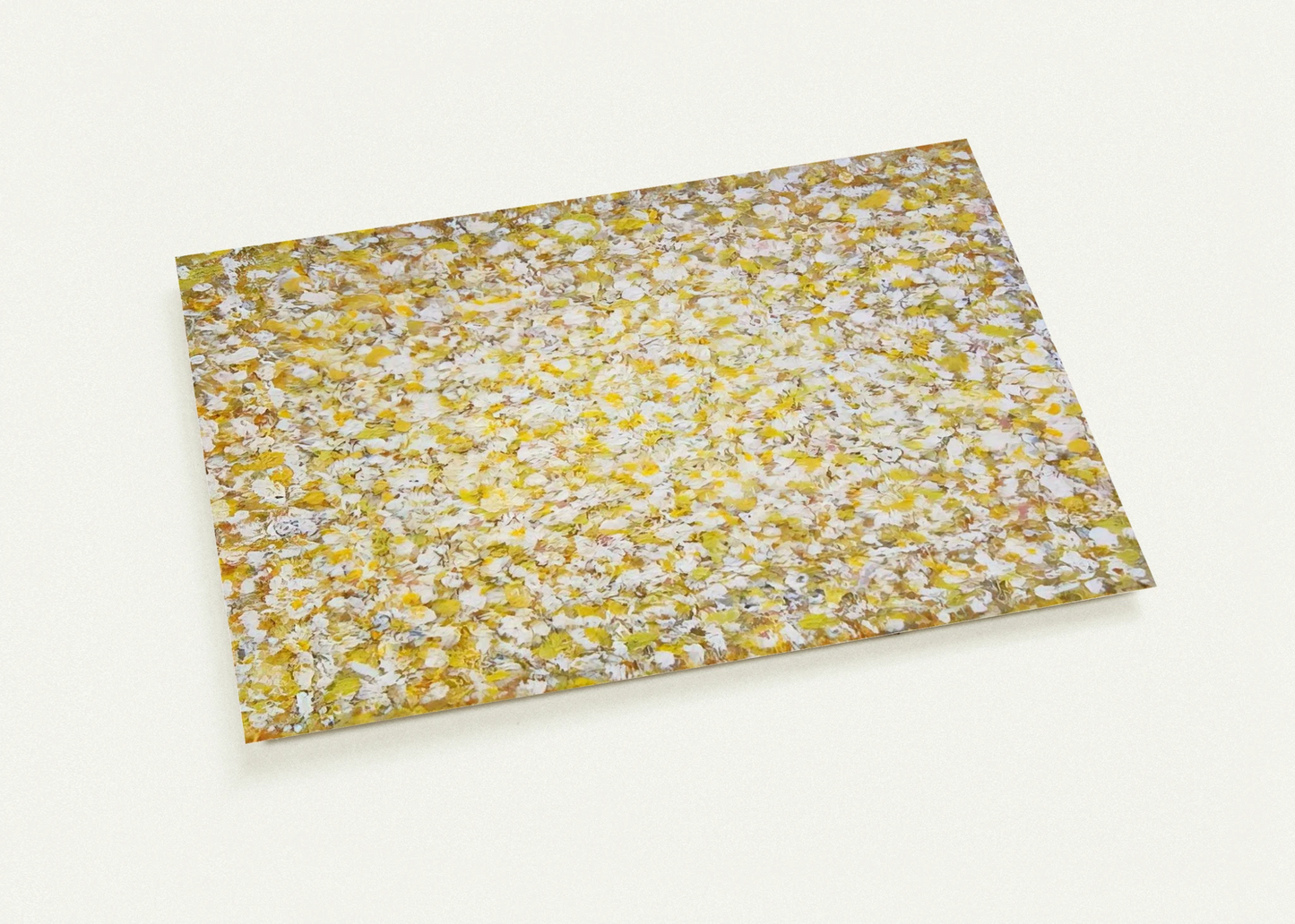 3cc9bc83-540c-4eb9-8173-7403a3c05b52