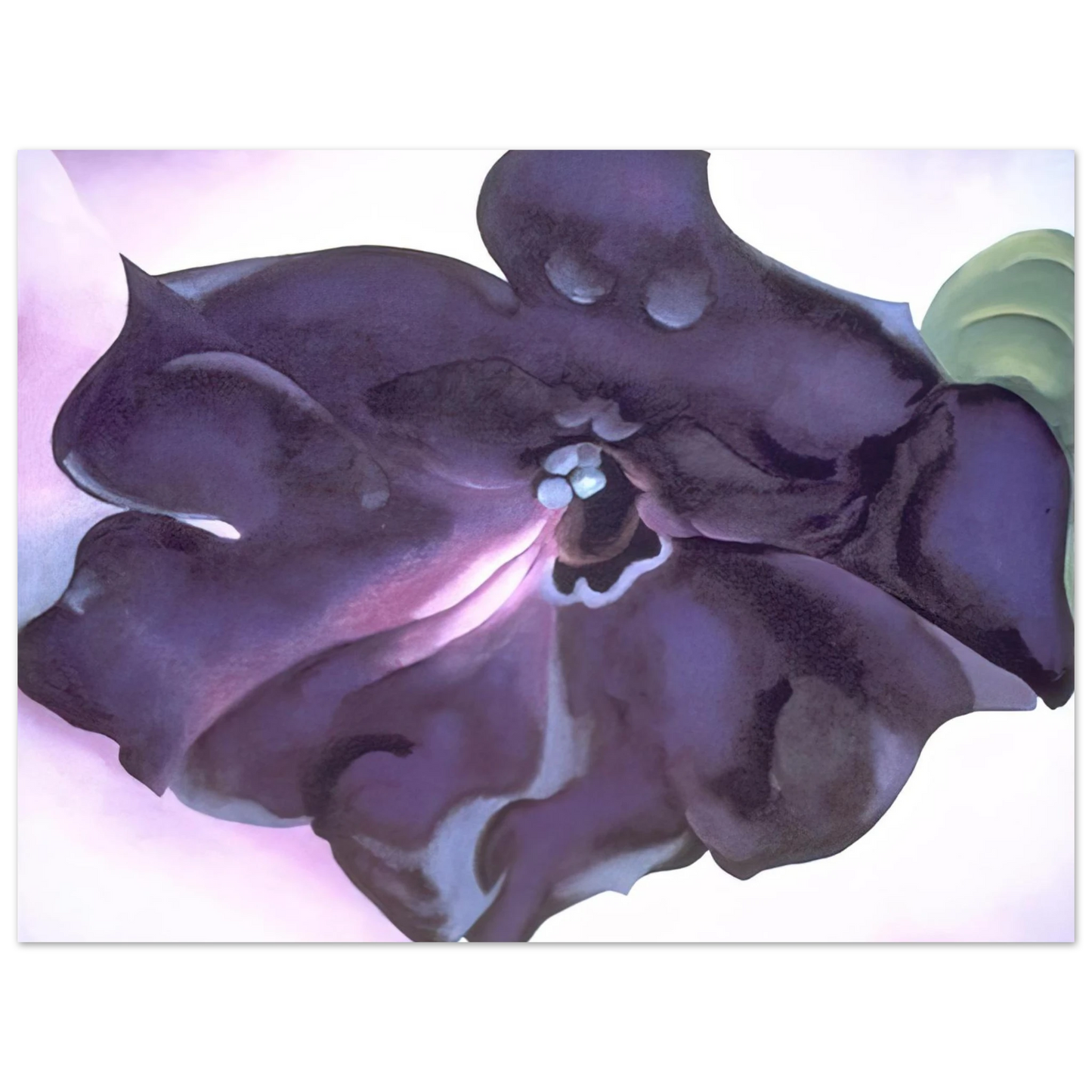 Georgia O'Keeffe - Petunia Fine Art Poster - 13x18 cm / 5x7 inches
