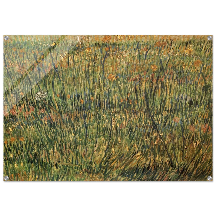 Pasture in Bloom - Vincent van Gogh Acrylic Print - 70x100 cm / 28x40″ inches