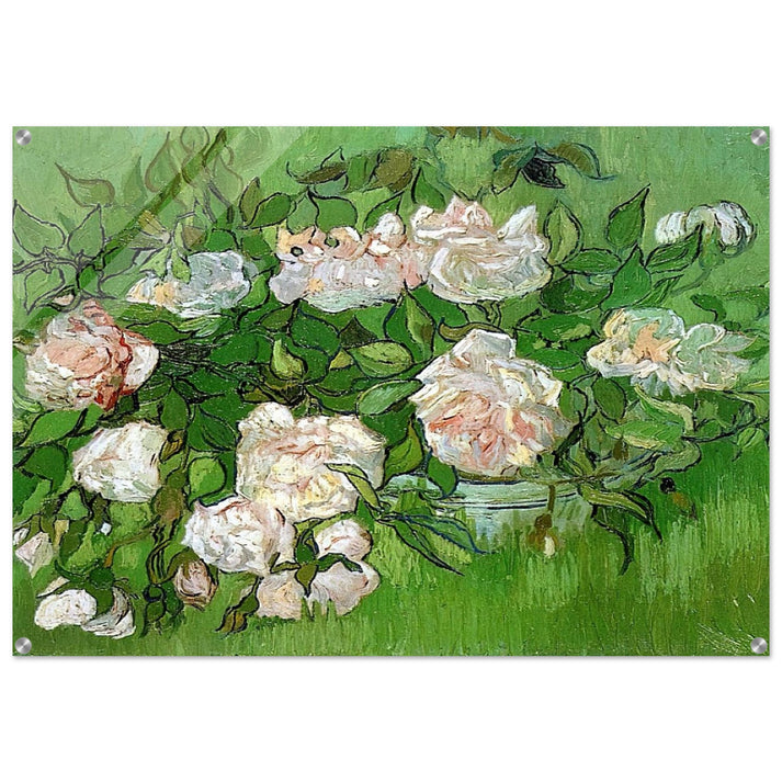 Still Life - Pink Roses - Vincent van Gogh Acrylic Print - 70x100 cm / 28x40″ inches