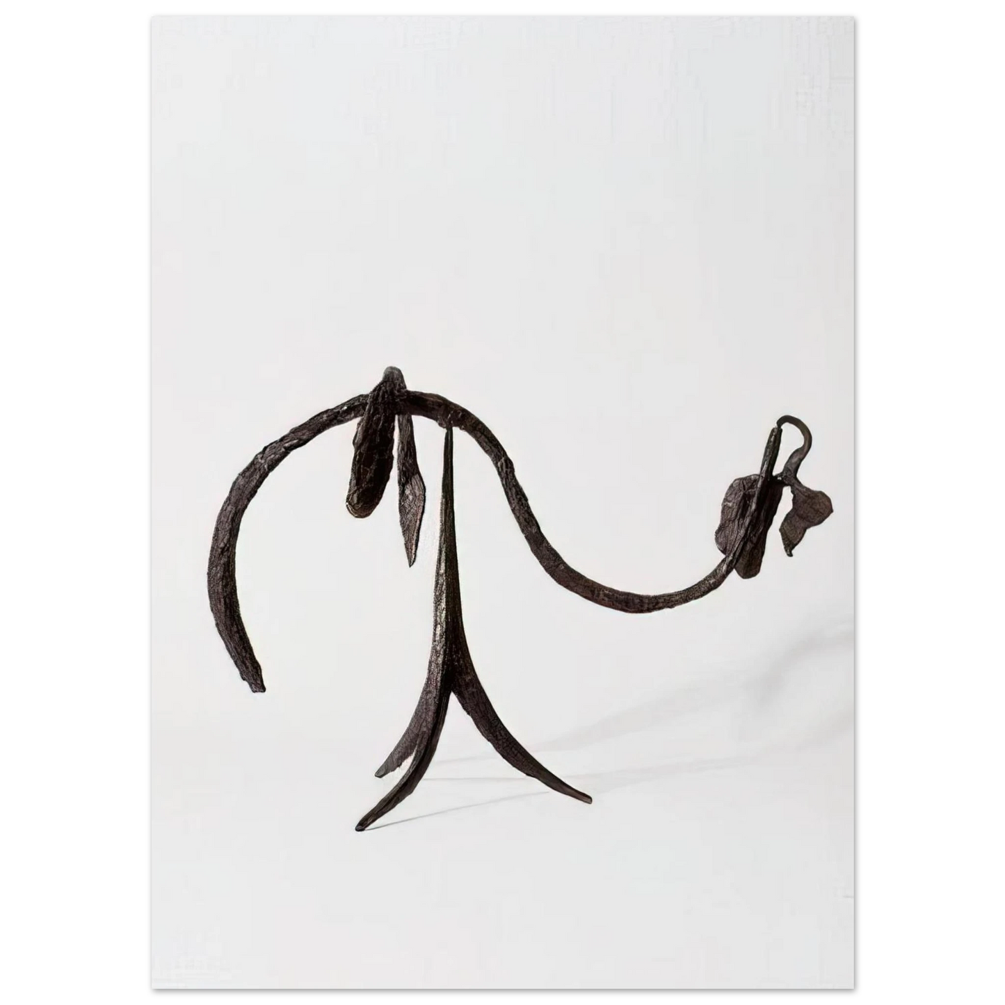 Alexander Calder - THE VINE 1944 Fine Art Poster - 40x60 cm / 16x24 inches