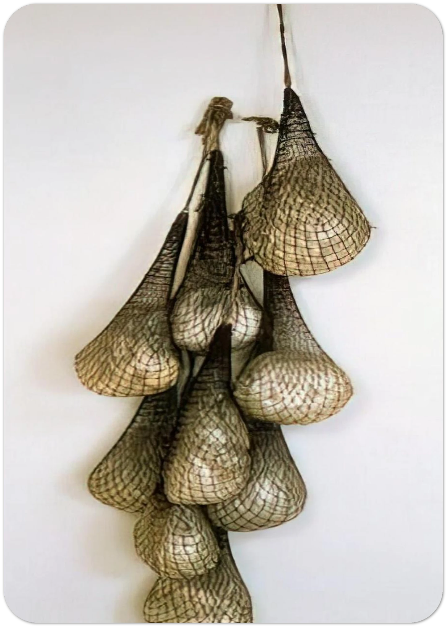 3f6e42d8-67ca-41bd-aa8b-27569756dd1a