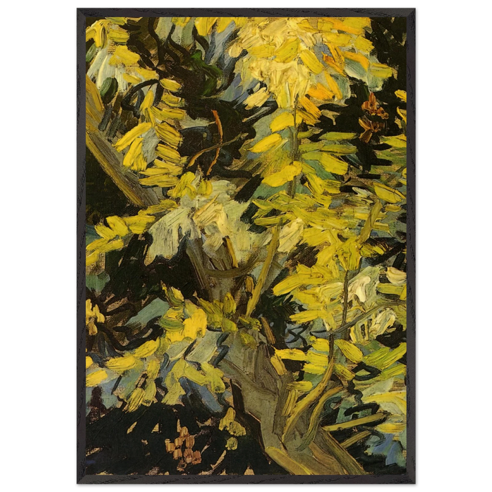 Blossoming Acacia Branches - Vincent van Gogh 70x100 cm / 28x40 inches Framed Art Print – Black Wooden Frame