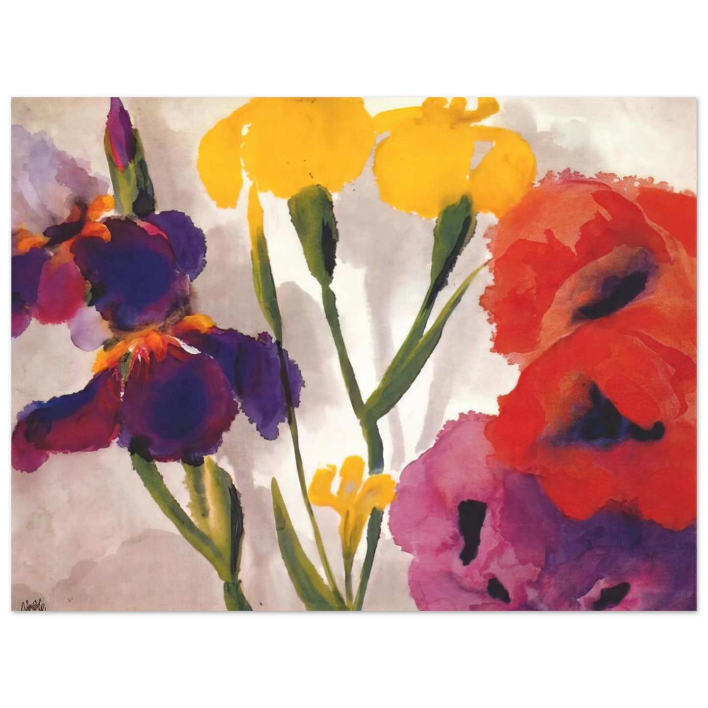 Emil Nolde - Irises and poppies Fine Art Poster - Default Title