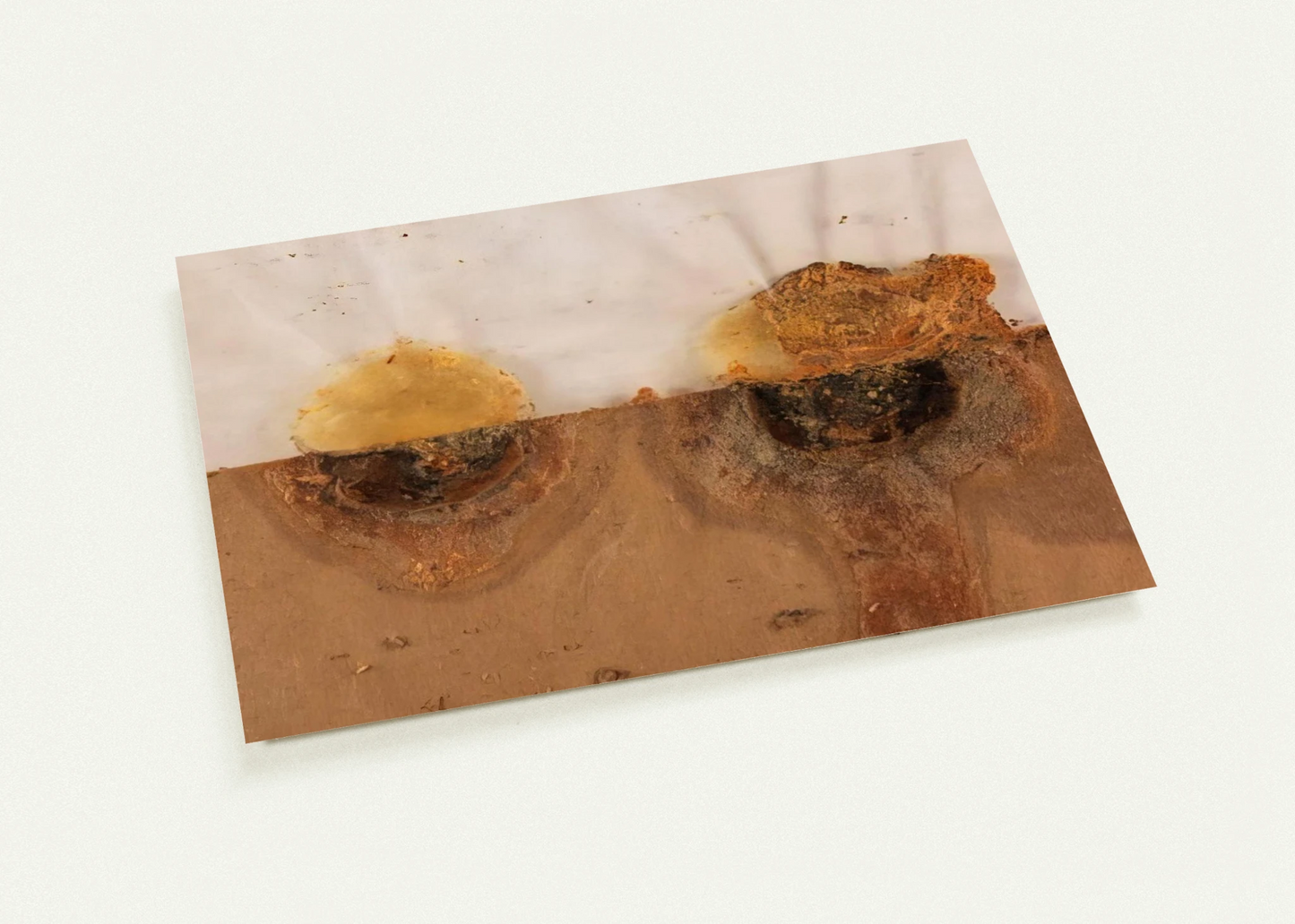 40e35561-1baf-4091-a41e-5346fb60a052