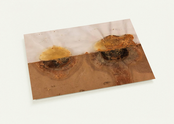 40e35561-1baf-4091-a41e-5346fb60a052