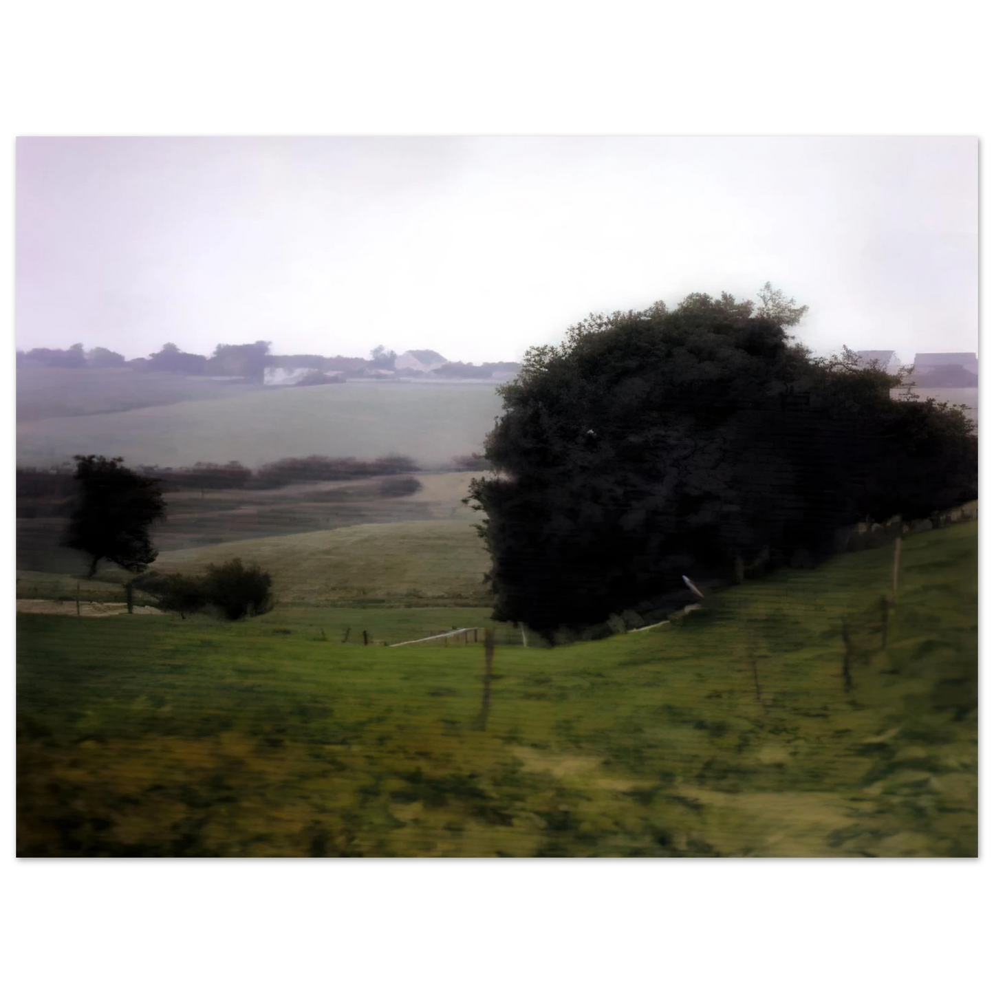 Gerhard Richter - MEADOWLAND Fine Art Poster - Default Title