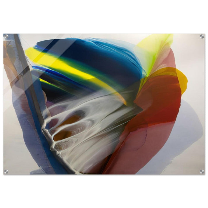 Wanderland Express - Paul Jenkins Acrylic Print - 70x100 cm / 28x40″ inches