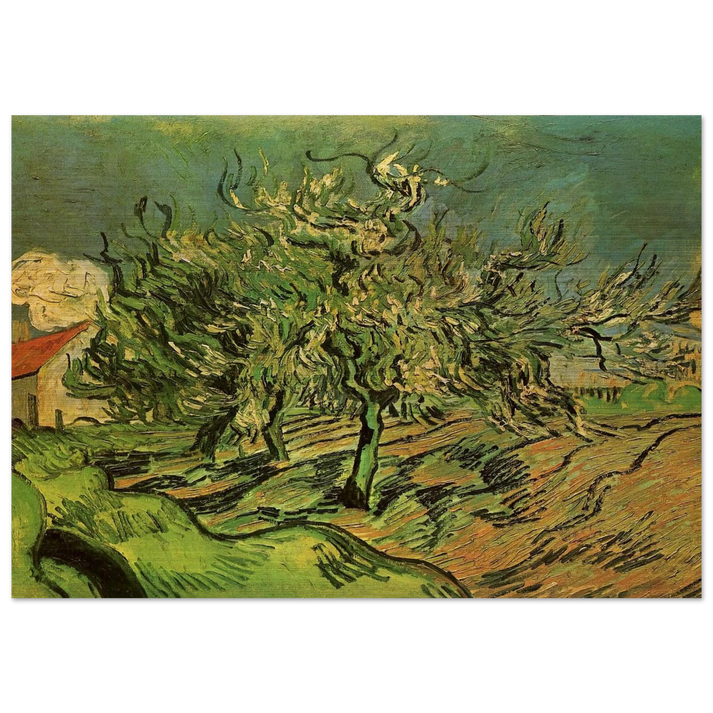 Landscape with Three Trees and a House - Vincent van Gogh Brushed Aluminum Print - 70x100 cm / 28x40 inches | Vincent van Gogh Aluminum Print | Vincent van Gogh Prints