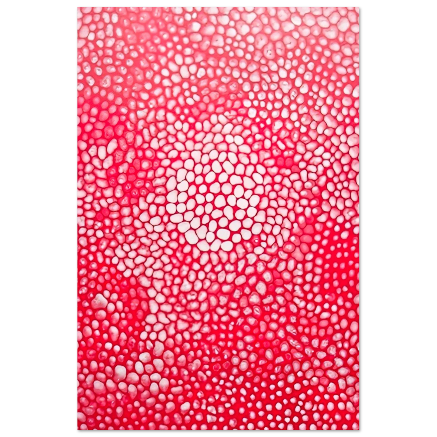 Yayoi Kusama - SUNLIGHT 1998 Fine Art Poster - 75x100 cm / 30x40 inches