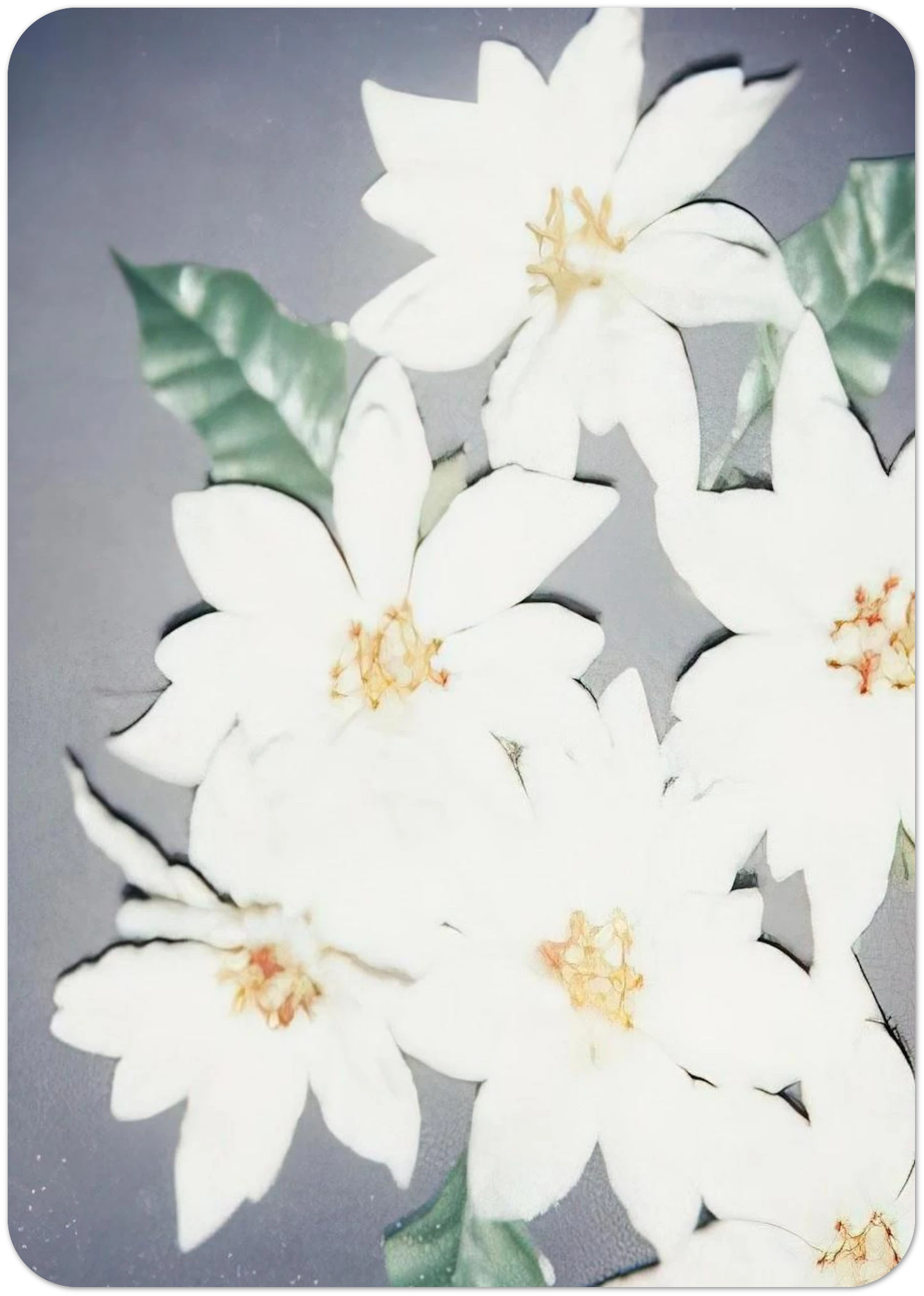 43e52f01-c901-4b14-a8eb-dff09e83b3d8