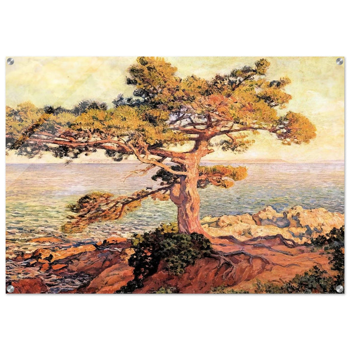 PINE BY THE MEDITERRANEAN SEA 1916 - Theo van Rysselberghe Acrylic Print - 70x100 cm / 28x40″ inches