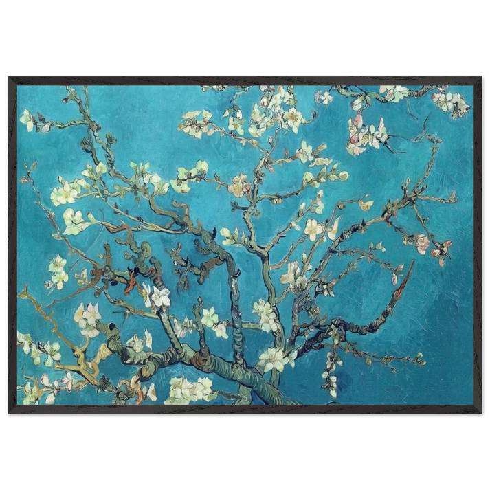 Branches with Almond Blossom - Vincent van Gogh 70x100 cm / 28x40 inches Framed Art Print – Black Wooden Frame
