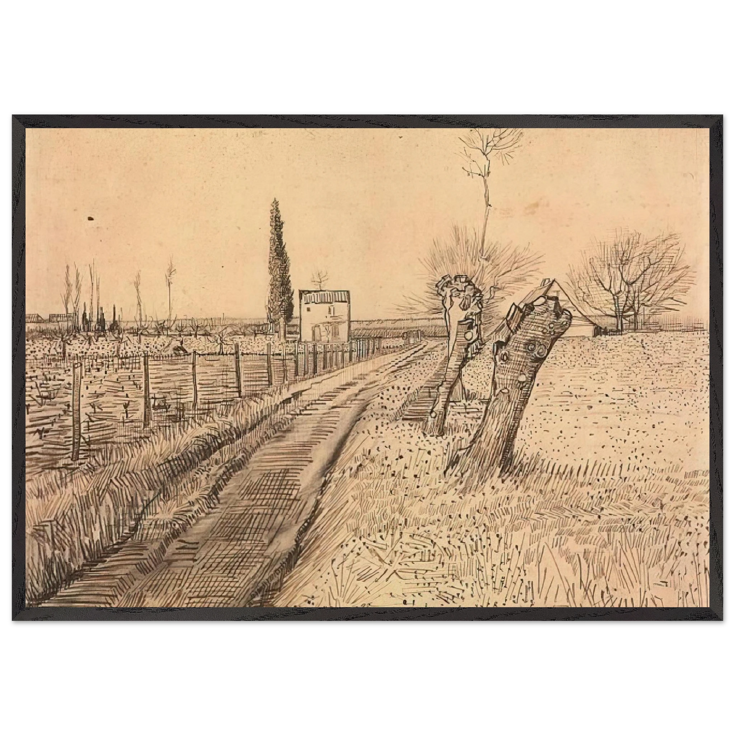 Landscape with Path and Pollard Trees - Vincent van Gogh Framed Art Print – Black Wooden Frame - Default Title - -Framed Art Print