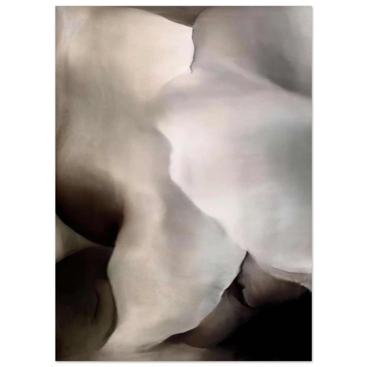 Georgia O'Keeffe - Dark Iris ?3 Fine Art Poster - 40x60 cm / 16x24 inches
