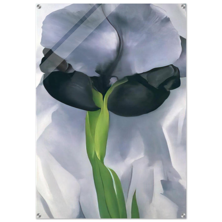 Iris 7 - Georgia O'Keeffe Acrylic Print - 70x100 cm / 28x40″ inches