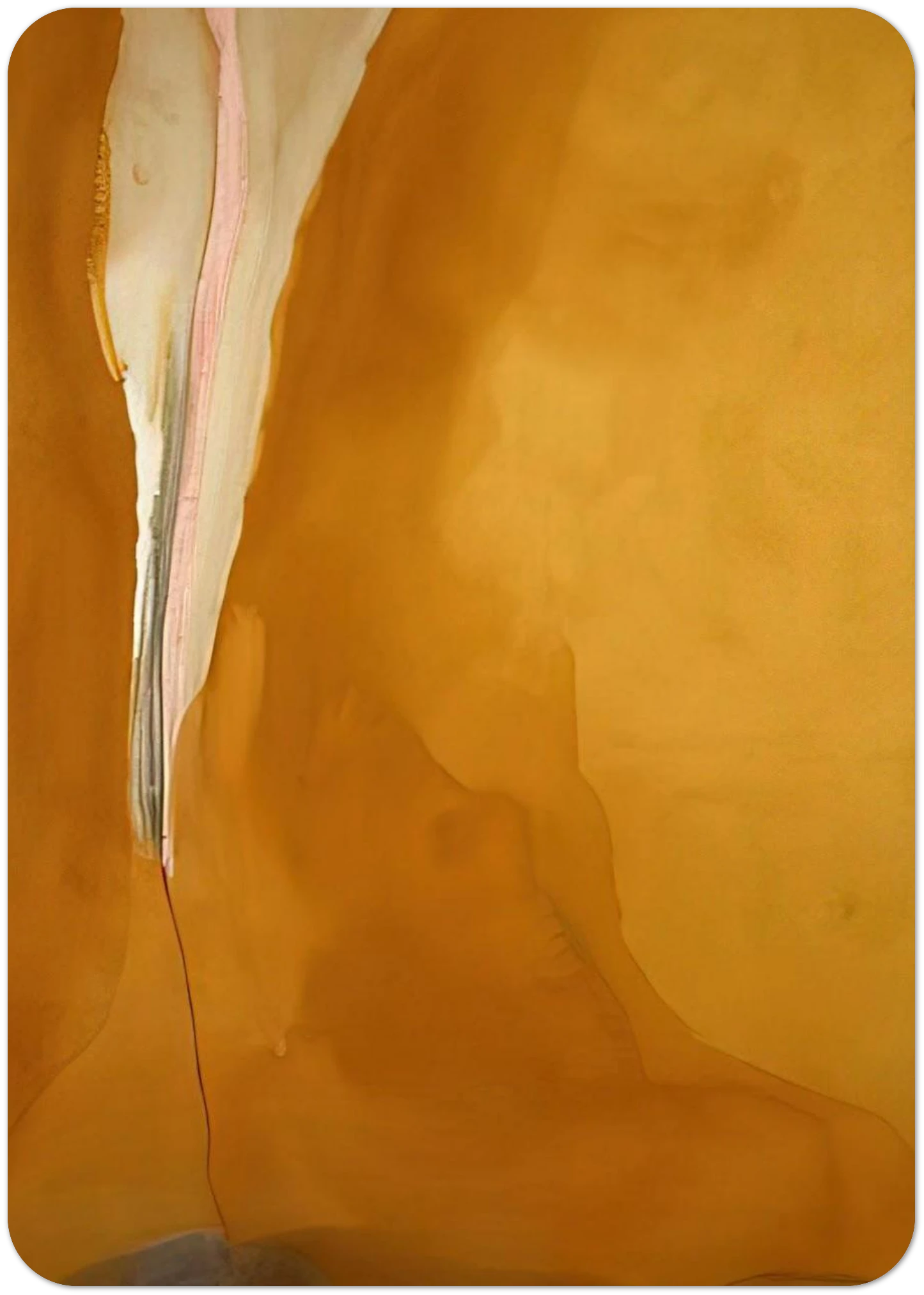 48dbd05b-3551-4144-8f21-5d64a35e1906