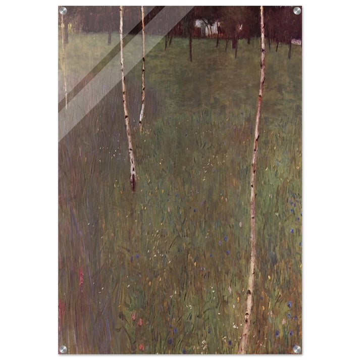 FARMHOUSES WITH BIRCH TREES - Gustav Klimt Acrylic Print - 70x100 cm / 28x40″ inches