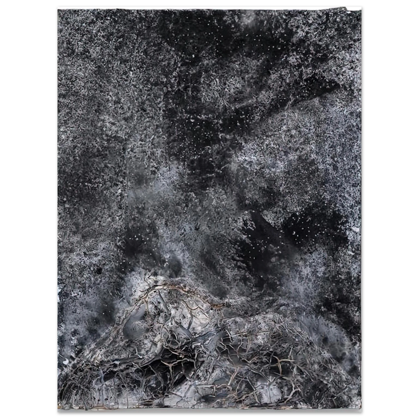 Anselm Kiefer - THE SECRET LIFE OF PLANTS FOR ROBERT FLUDD 2014 Fine Art Poster - Default Title