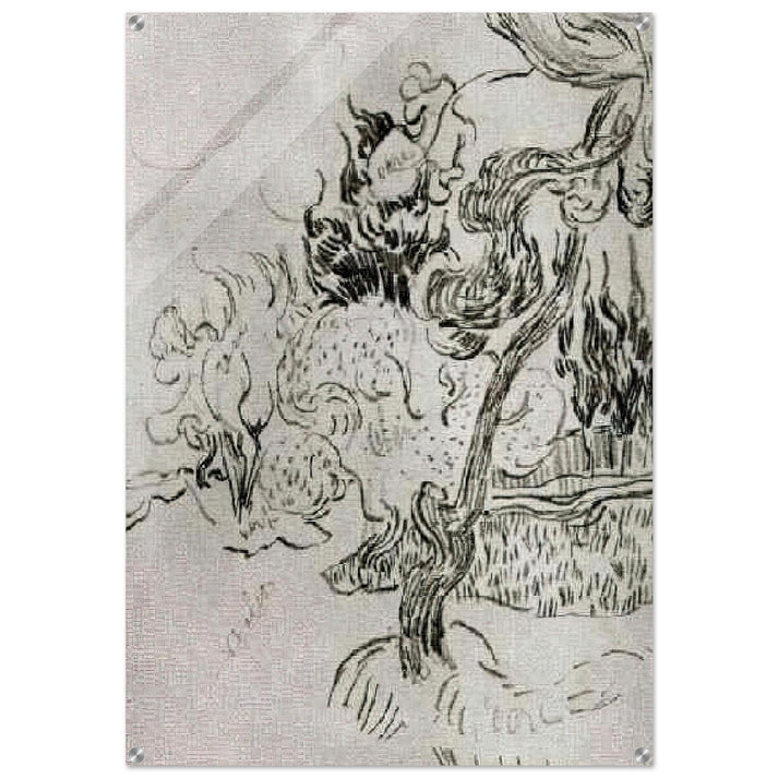 A Pine Tree and Cypresses in the Garden of the Asylum - Vincent van Gogh Acrylic Print - 70x100 cm / 28x40″ inches