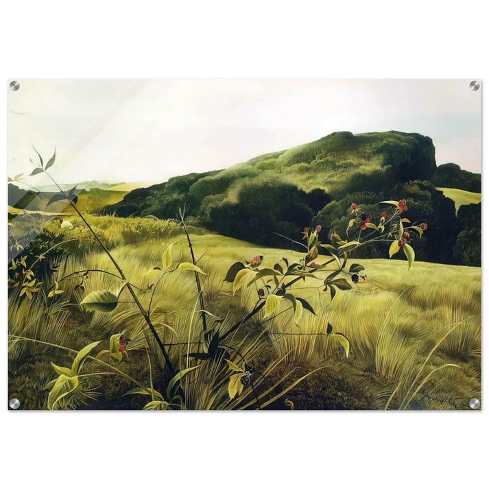 BLACKBERRY PICKER - Andrew Wyeth Acrylic Print - 70x100 cm / 28x40″ inches | Andrew Wyeth Wall Art | Andrew Wyeth Prints