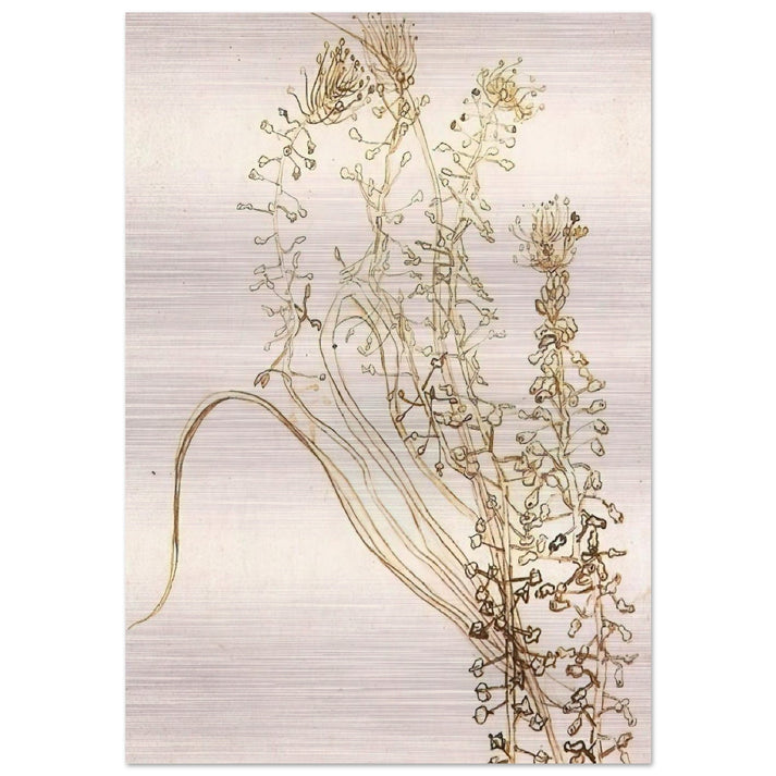 Blossoming Branches - Vincent van Gogh Brushed Aluminum Print - 70x100 cm / 28x40 inches | Vincent van Gogh Aluminum Print | Vincent van Gogh Prints