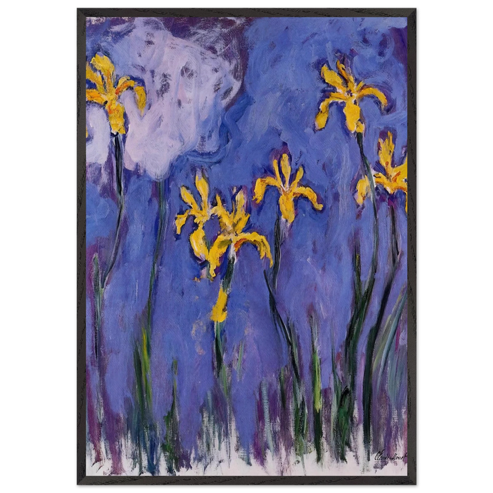 Yellow Irises with Pink Cloud - claude monet 70x100 cm / 28x40 inches Framed Art Print – Black Wooden Frame