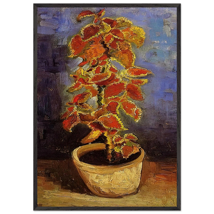 Coleus Plant in a Flowerpot - Vincent van Gogh 70x100 cm / 28x40 inches Framed Art Print – Black Wooden Frame