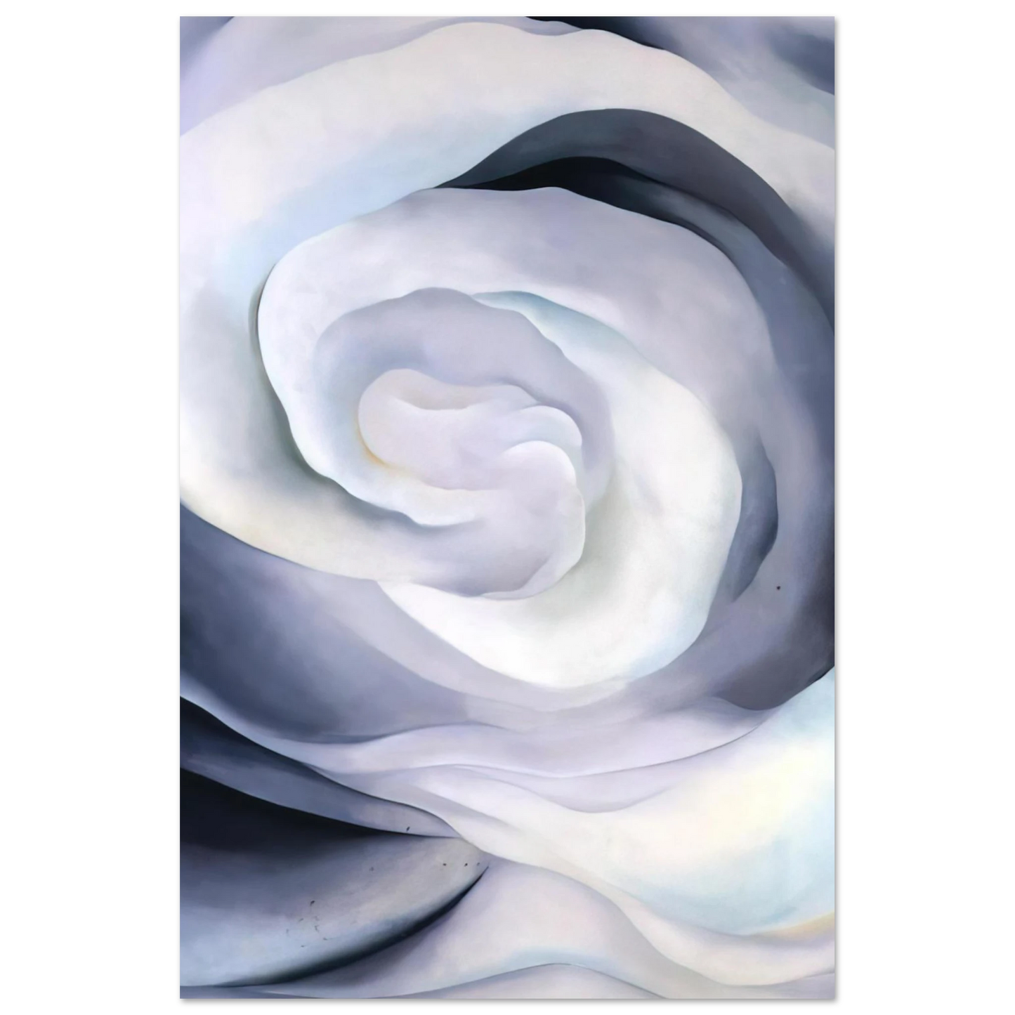 Georgia O'Keeffe - Abstraction White Rose Fine Art Poster - 75x100 cm / 30x40 inches