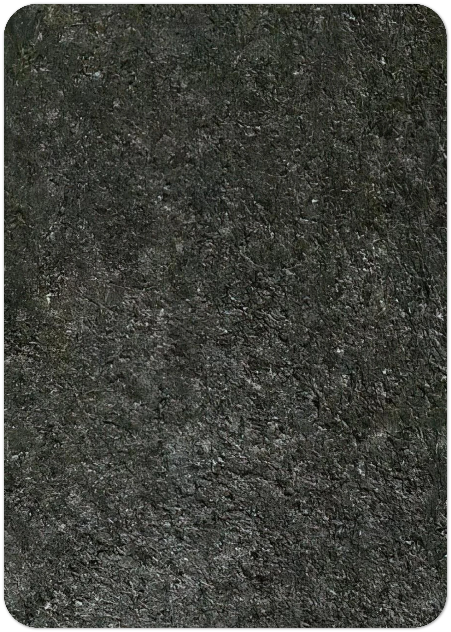 50ab1c59-6424-4d24-a168-ec3d15ea34d9