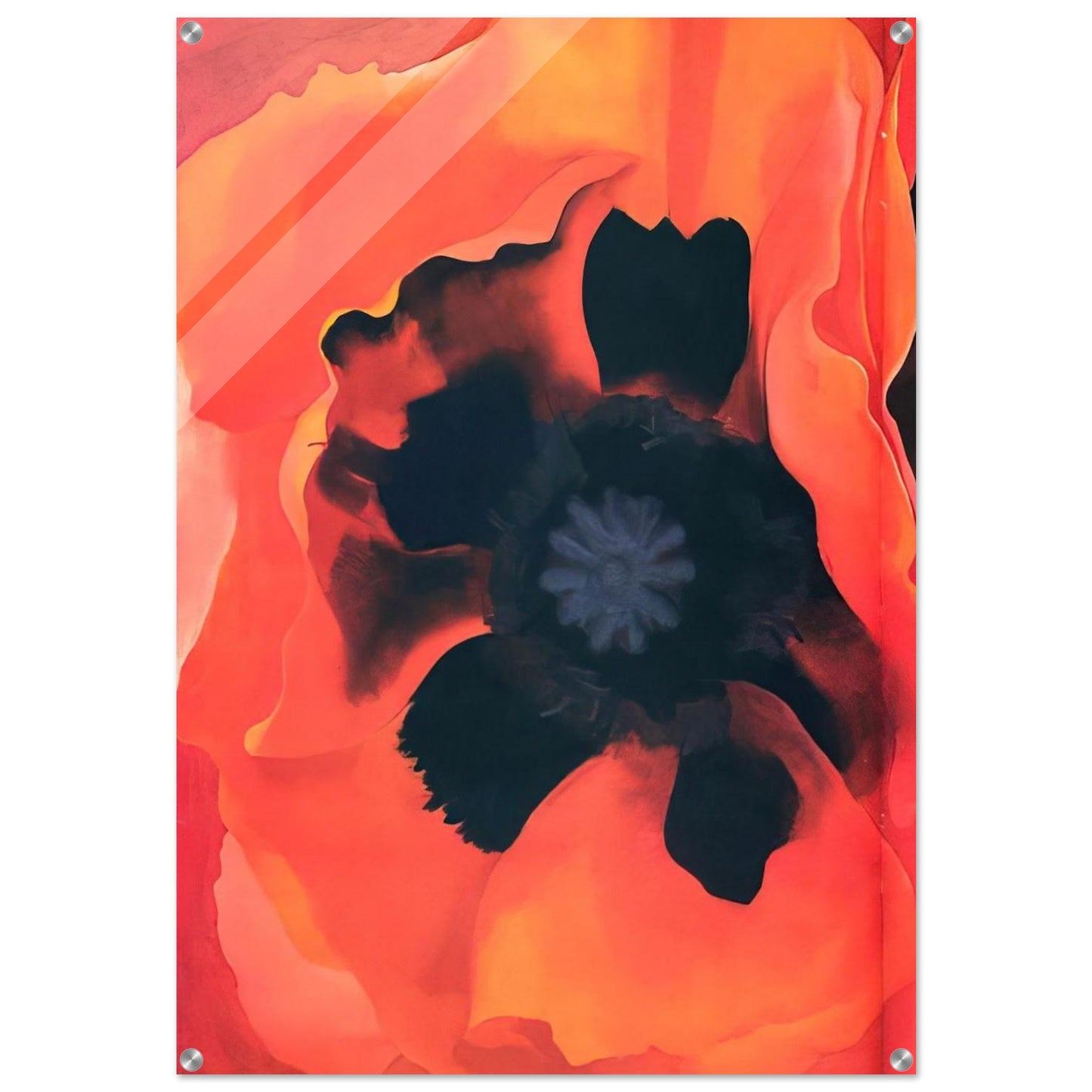Poppy 2 - Georgia O'Keeffe Acrylic Print - 70x100 cm / 28x40″ inches