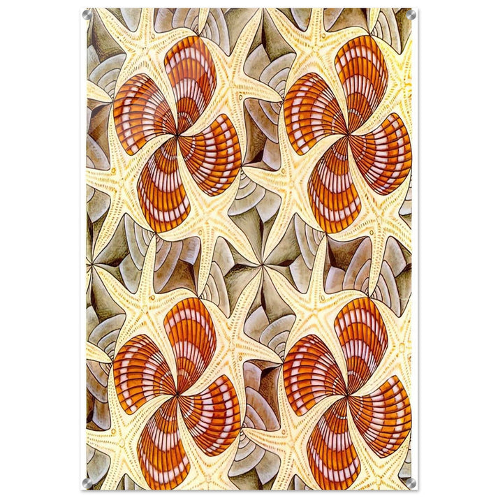 SHELLS AND STARFISH - MC Escher Acrylic Print - 70x100 cm / 28x40″ inches | Maurits Cornelis Escher Prints