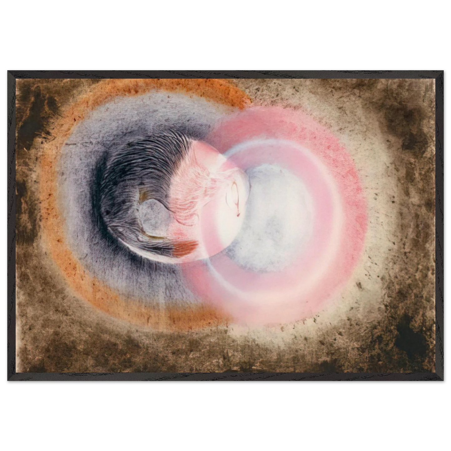 Hibernation - 1954 - Morris Graves 70x100 cm / 28x40 inches Framed Art Print – Black Wooden Frame