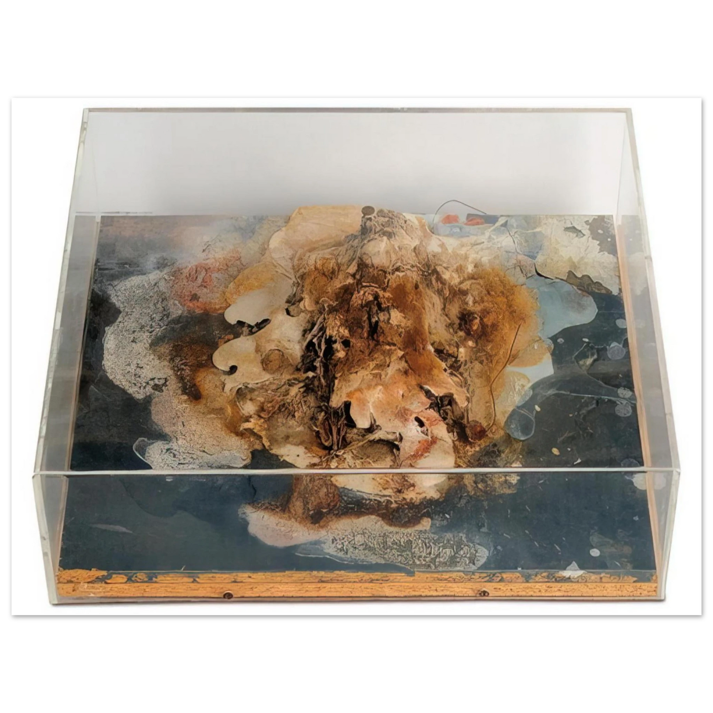 Dieter Roth - Small Island - 1968 Fine Art Poster - Default Title