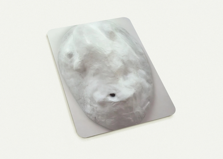 AMOEBA 1965 By Louise Bourgeois Pack of 10 Post Cards | Louise Bourgeois Post Cards | A6 (10.5 x 14.8 cm) - 4.1 x 5.8 inches