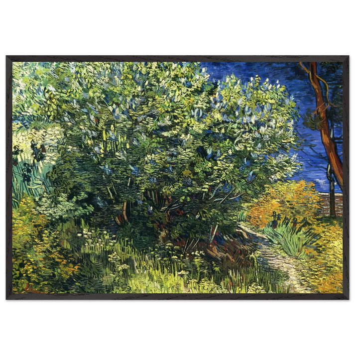 Lilac Bush - Vincent van Gogh 70x100 cm / 28x40 inches Framed Art Print – Black Wooden Frame