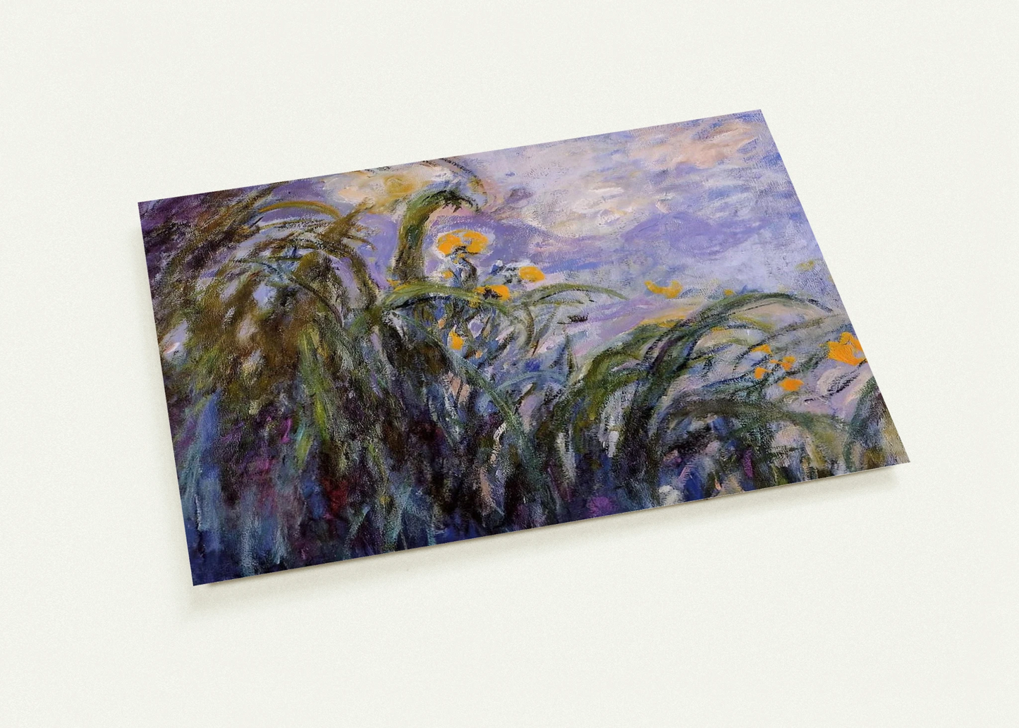 55e53891-2787-4bcf-b808-d2bcd9515eed