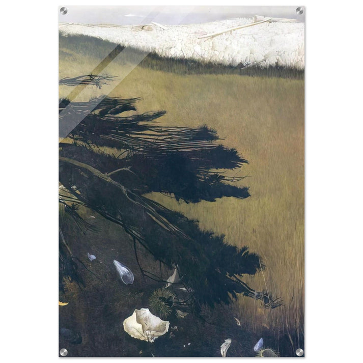 NOT DETECTED 47 - Andrew Wyeth Acrylic Print - 70x100 cm / 28x40″ inches