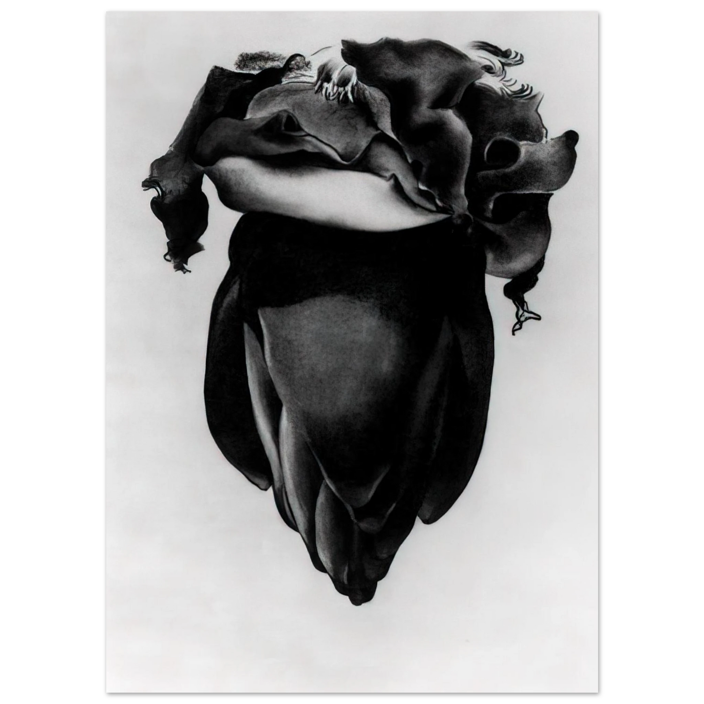 Georgia O'Keeffe - Banana Flower Fine Art Poster - 40x60 cm / 16x24 inches
