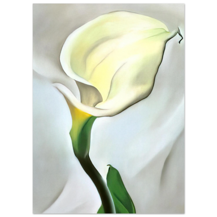 Georgia O'Keeffe - Calla Lily Turned Away Fine Art Poster