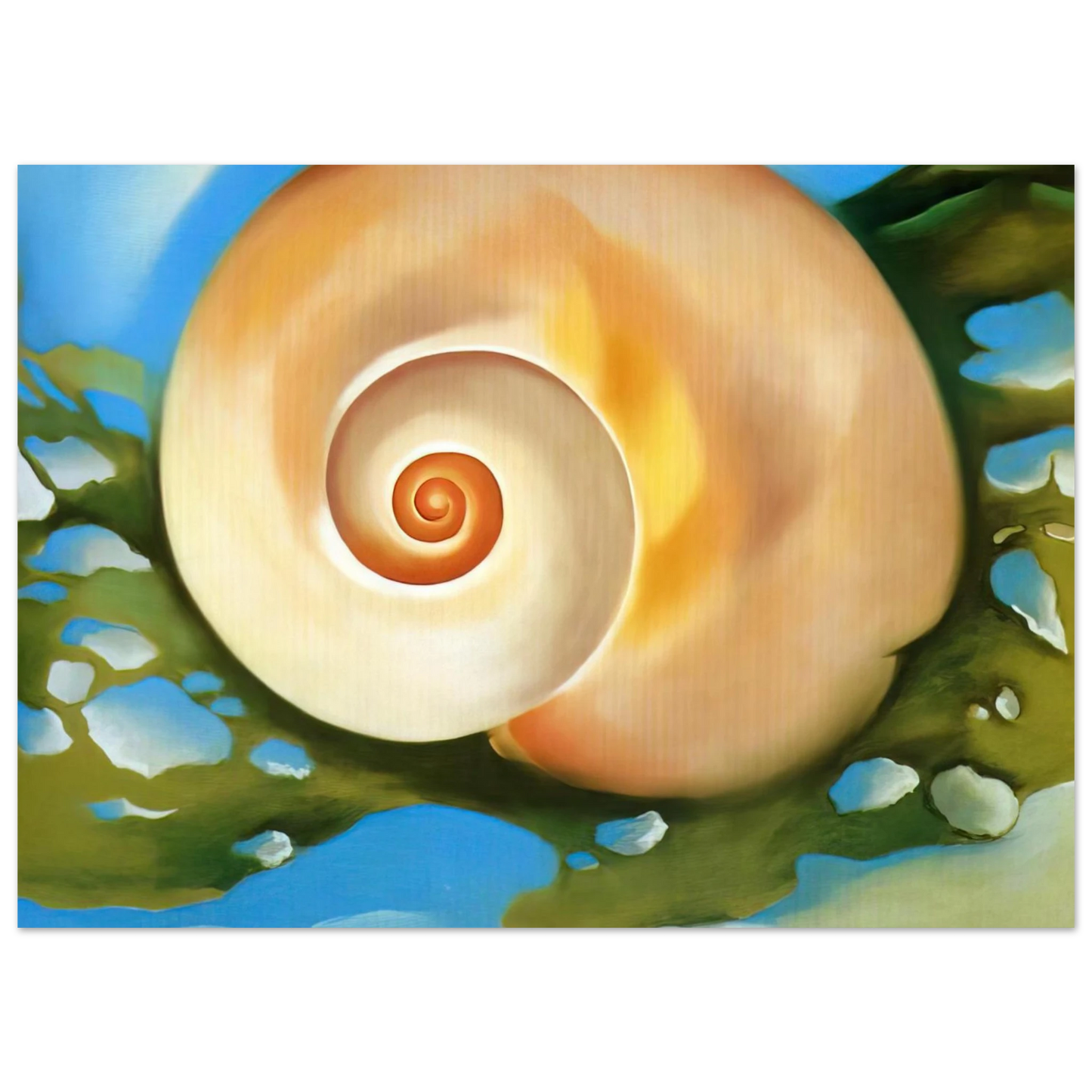 Georgia O'Keeffe - Pink Shell with Seaweed Fine Art Poster - 40x60 cm / 16x24 inches